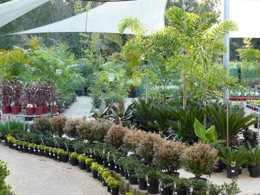 Plants Nursery