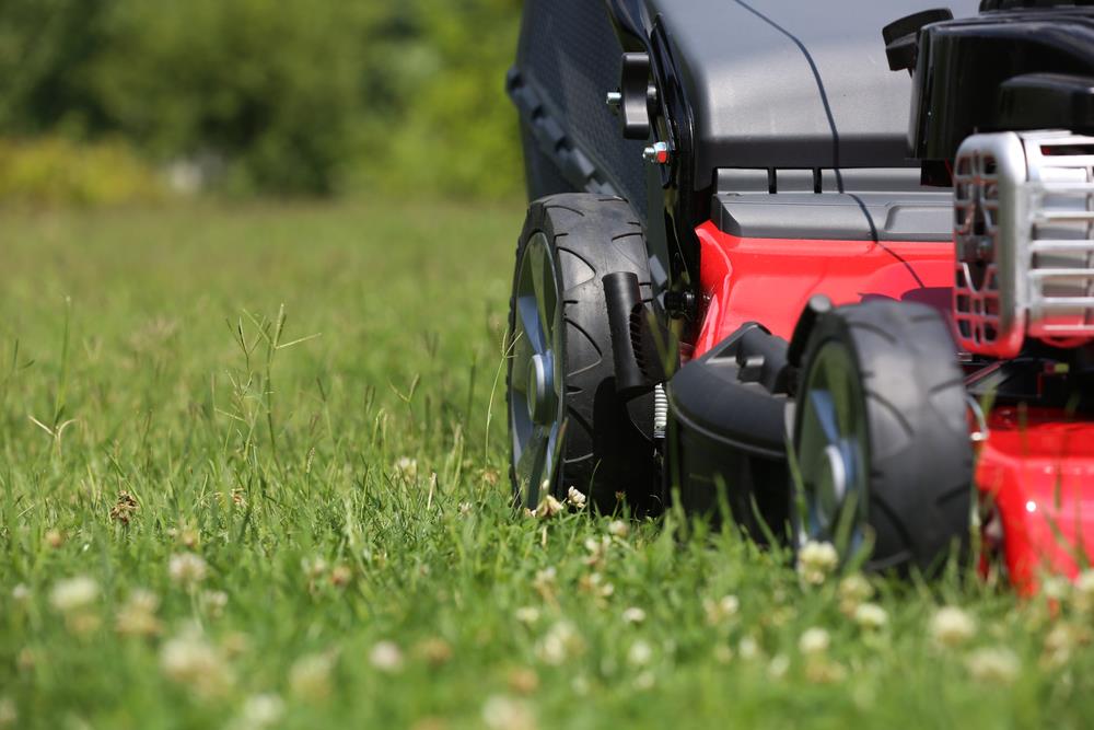  Garden Maintenance  