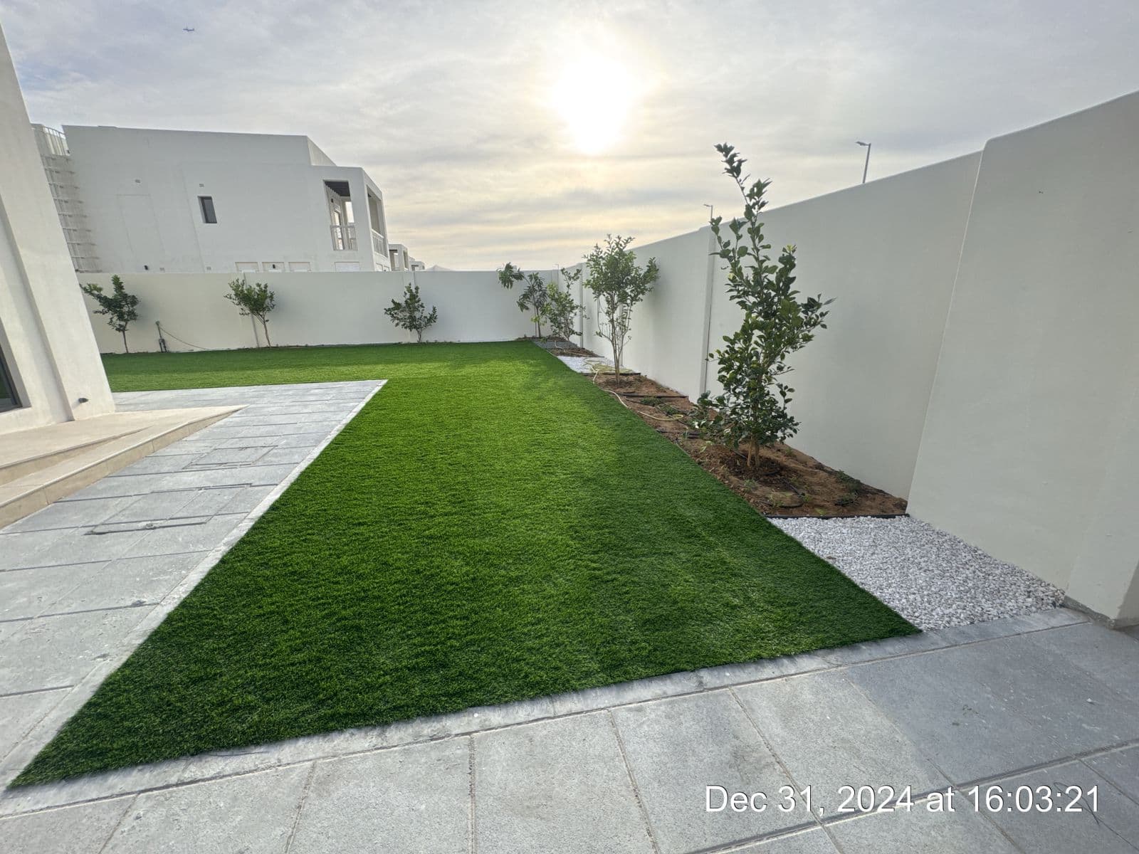 Photos · Green Dream