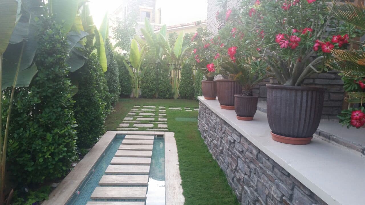 Villa ( 14 ) _ Soft & Hard Landscape