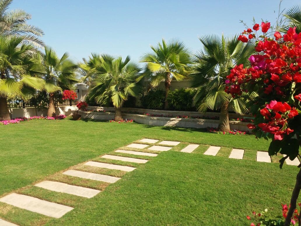 Villa ( 15 ) _ Soft Landscape