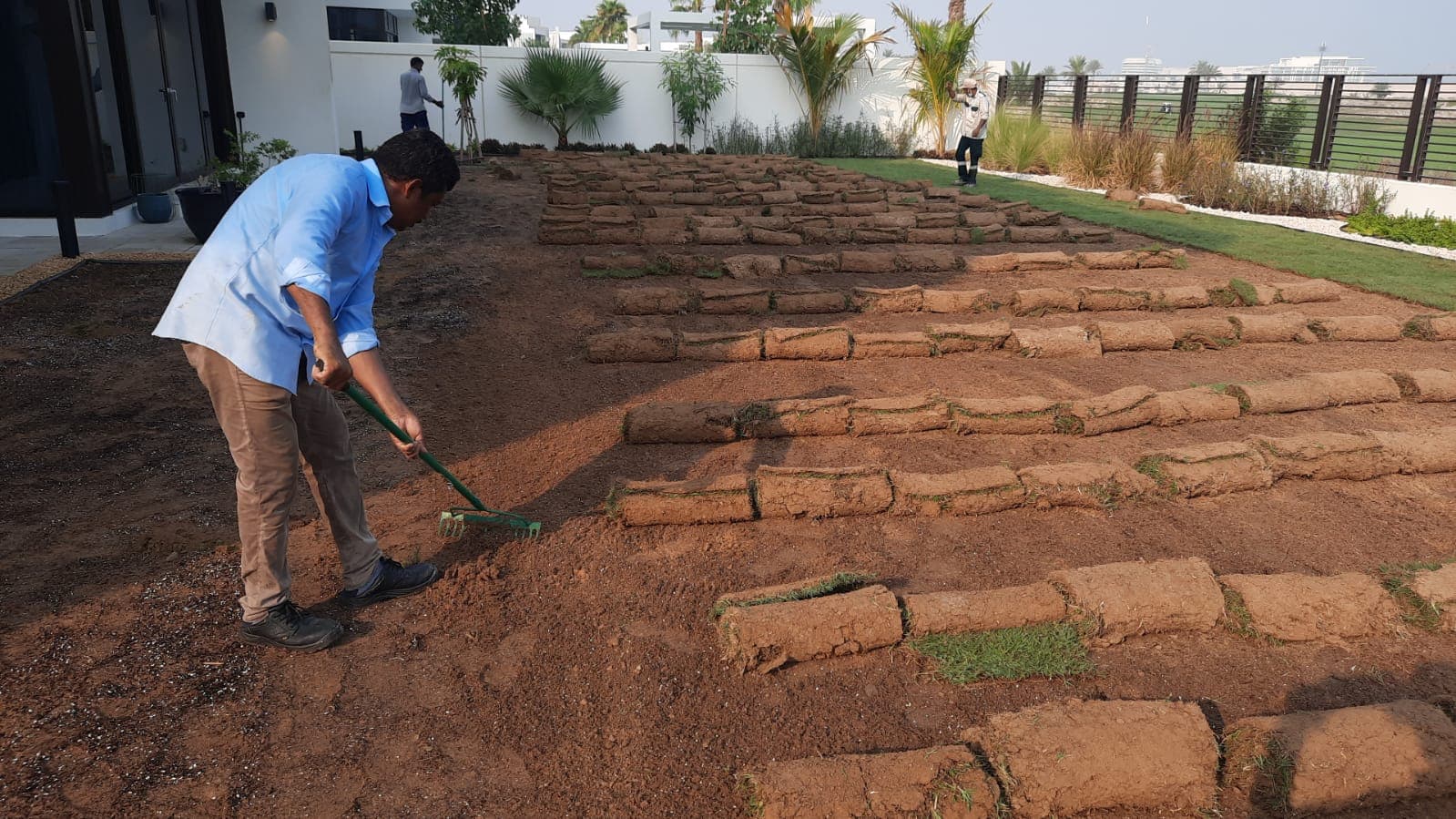 Turf Maintenance